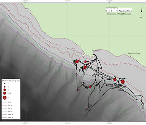 Map showing the number of blue whales sighted (red circles) and the ship’s track (black line) during the March voyage off the coast of Victoria. Contour lines show different depths.