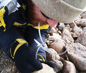 Geologist Adrian Corvino aspirates mites from beneath a rock.