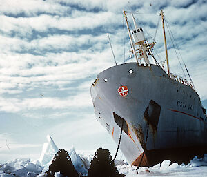 Huge slabs of floating ice building up around Kista Dan threatened to crush the ship as she tried to make her way into Horseshoe Harbour in February 1954