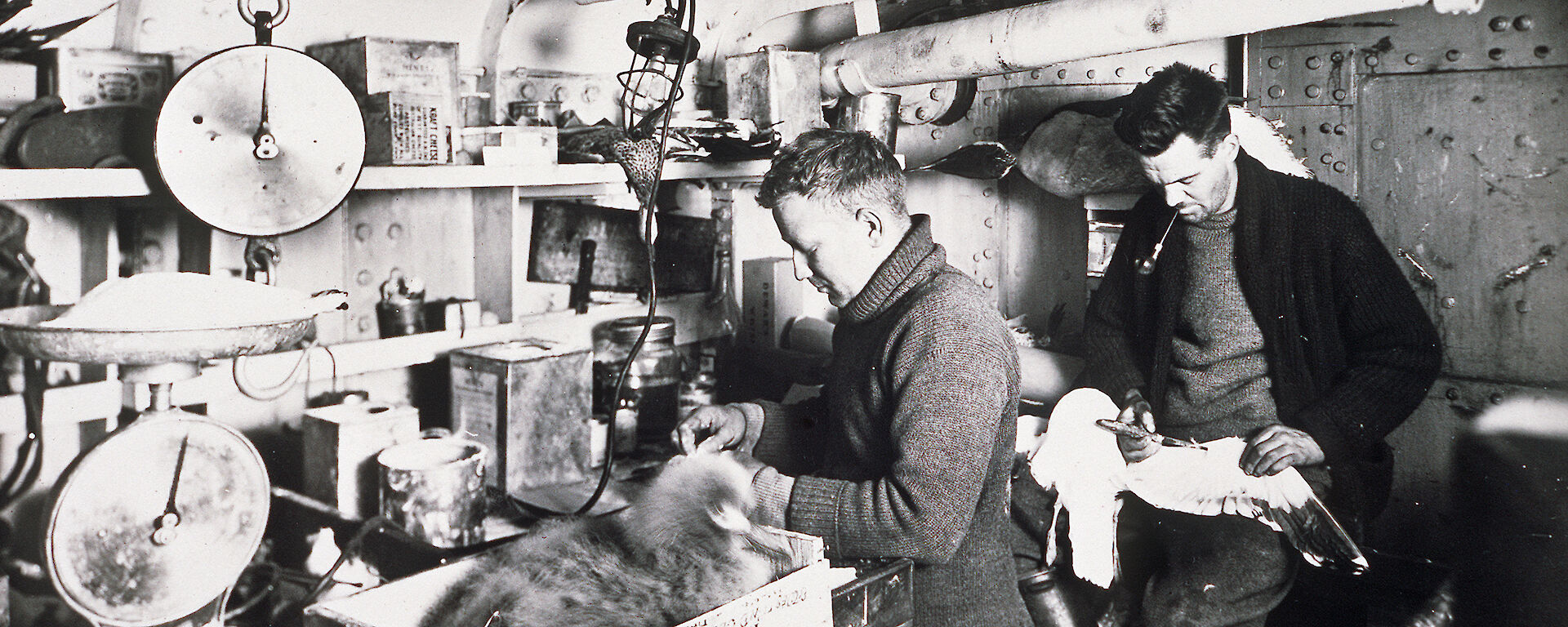 Harold Fletcher (L) and Robert Falla (R) prepare seabird specimens on board Discovery.