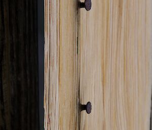 Detail of a timber panel with rusted nails raised from the surface.