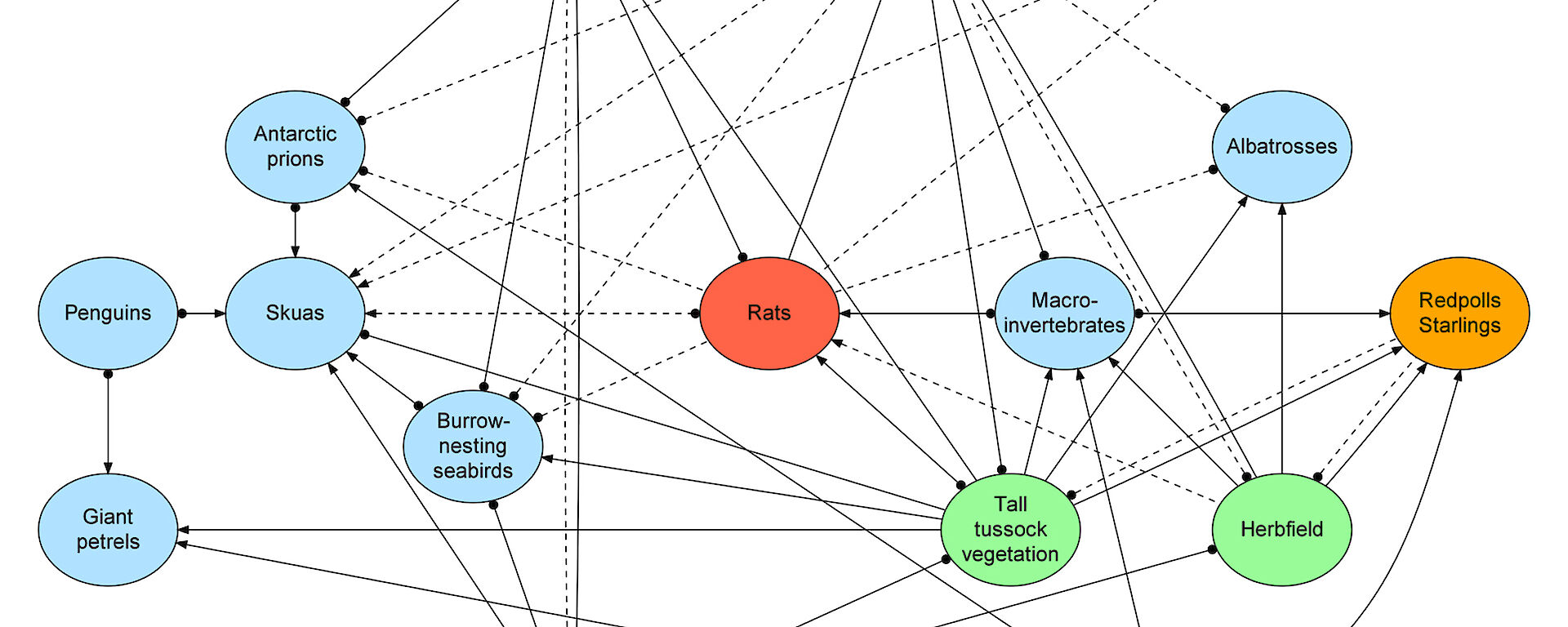 This diagram shows the network of interactions between plants and animals on Macquarie Island (prior to the eradication of cats).