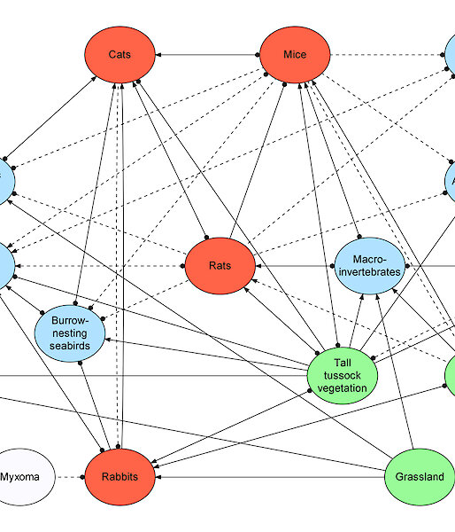 This diagram shows the network of interactions between plants and animals on Macquarie Island (prior to the eradication of cats).