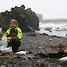 Dr Ceridwen Fraser collects southern bull kelp on Marion Island.