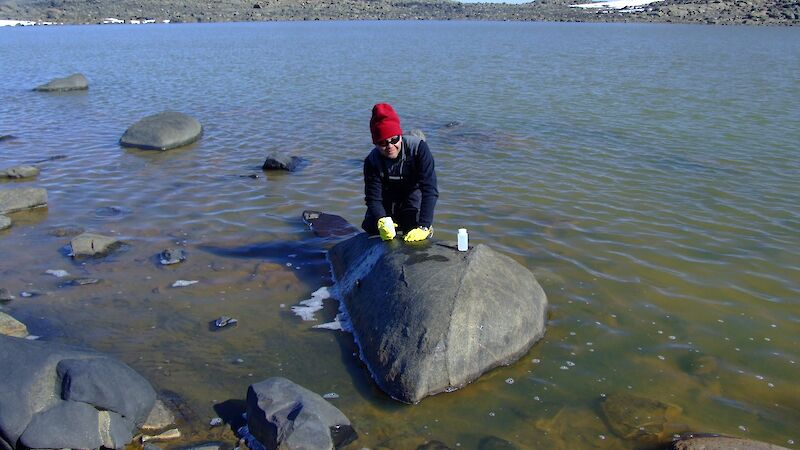 Professor Rick Cavicchioli takes samples from Organic Lake in 2006.