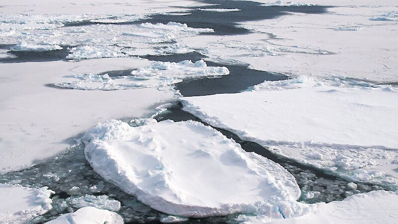 Sea ice in the Southern Ocean.