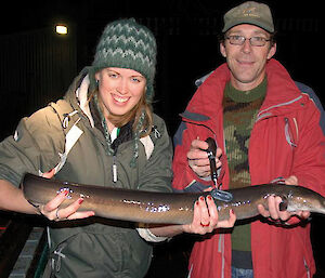 UK researchers hold a tagged eel.