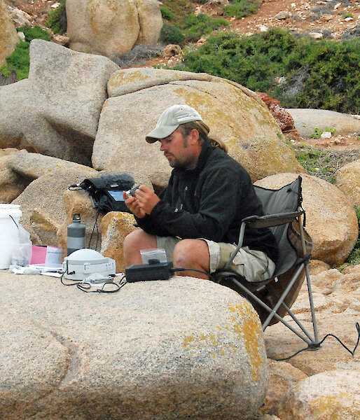 Scientist preparing sea lion blood samples in the field.