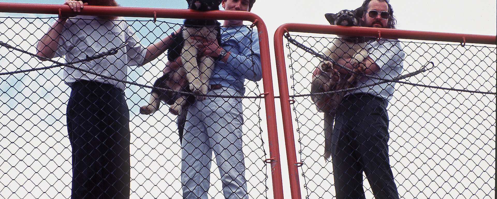 Alan Rooke (left), Tony Worby holding Misty (centre) and Dave Pottage holding Frosty, on arrival in Hobart from Mawson on the Aurora Australis, November 1992.