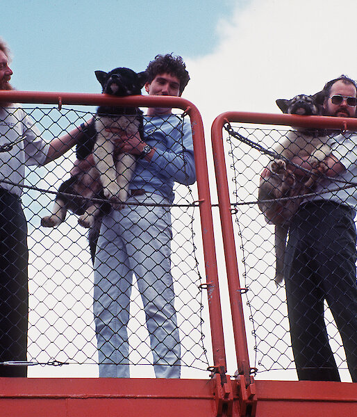 Alan Rooke (left), Tony Worby holding Misty (centre) and Dave Pottage holding Frosty, on arrival in Hobart from Mawson on the Aurora Australis, November 1992.