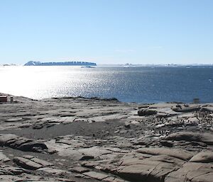 A view over Bechervaise Island with the huts and penguin colonies and looking towards icebergs visible on the horizon