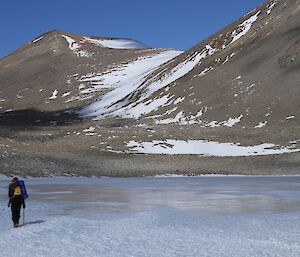 Adrian walking back to Accidental Valley camp after a hard day hunting mites