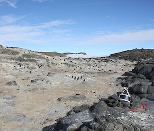 An automated camera overlooks one of the penguin rookeries on Welch Island