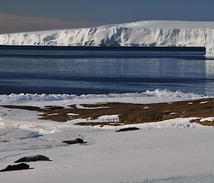 Weddell Seals and , Adelie Penguins on the ice edge in East bay from Petes Window