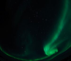 Bright green wispy Aurora Australis with stars in the background