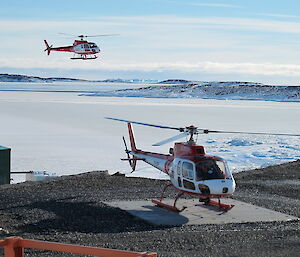 AS350 squirrel helicopters landing on Mawson landing pads