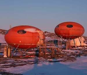 The two smarties with a fibreglass white apple-shaped shelter behind one of them