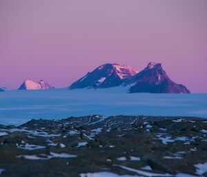 Bechervaise Island is in the foreground, with the mountains of the David Range and Mt Hordern in the blue icy plateau with a pink sky behind