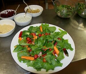 A large plate of salad made from vegetables grown hydroponically at Mawson