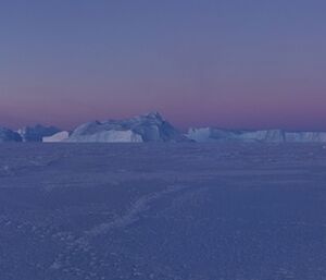 A panorama of the Auster icebergs