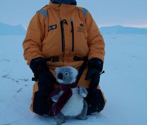 Expeditioner kneeling holding a toy stuffed koala next to a penguin egg