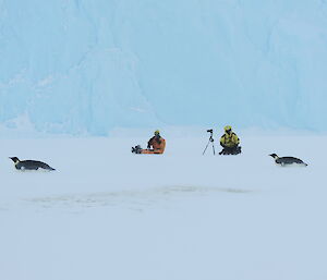 Two female expeditioners in full winter dress and in front of them 2 penguins casually togoggan past