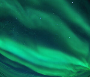 Green curtains of light fill the night sky