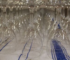 A row of wine glasses turned upside down that will be used during the evening