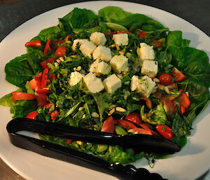 A plate of hydroponically grown lettuce, snow pea, tomatoes with the addition of fetta cheese and pine nuts