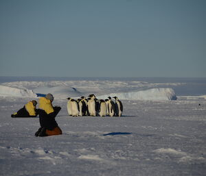 A group of failed breeding emperor penguins walked close to 2 expeditioners away from teh breeding group