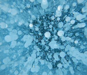 Bubbles frozen under the surface of the lake