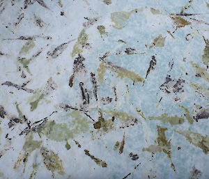 A photo of the sea-ice splattered with penguin droppings creating a collage of different colours and shapes