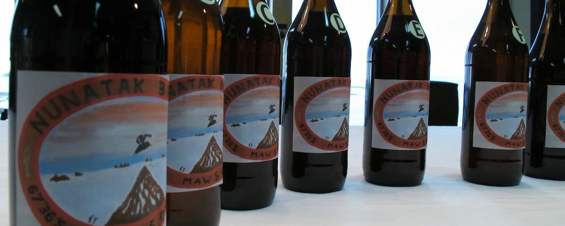 Row of beer bottles with labels showing