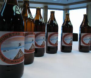 Row of beer bottles with labels showing