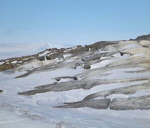 One lone Adelie penguin on Bechervaise Island