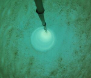 The bottom of the sea ice with a layer of algae