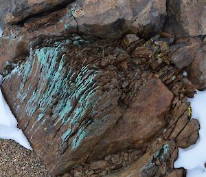 Two different types of lichen one coloured yeloow and the other green on rocks on Chapman ridge