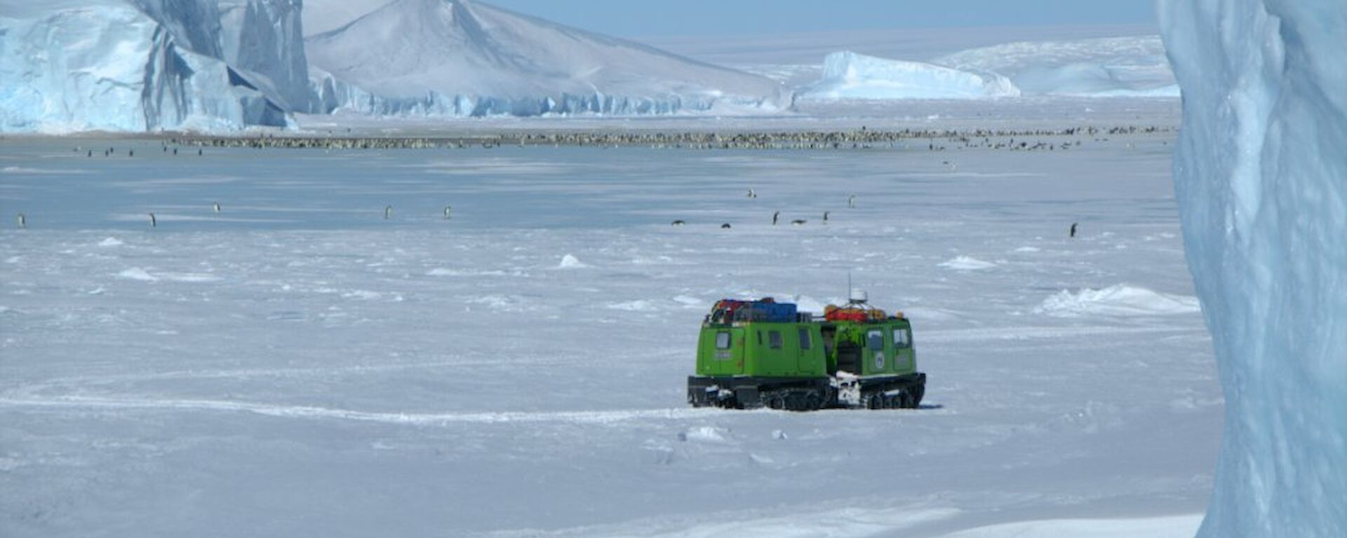 The Auster emperor penguin colony on sea ice surrounded by gigantic icebergs with the ice plateau in the background and a green Hägglunds all terrain vehicle in the foreground