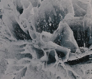 Folding shapes in lake ice