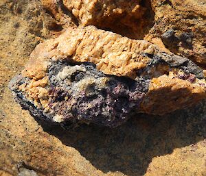 Rock showing Garnet