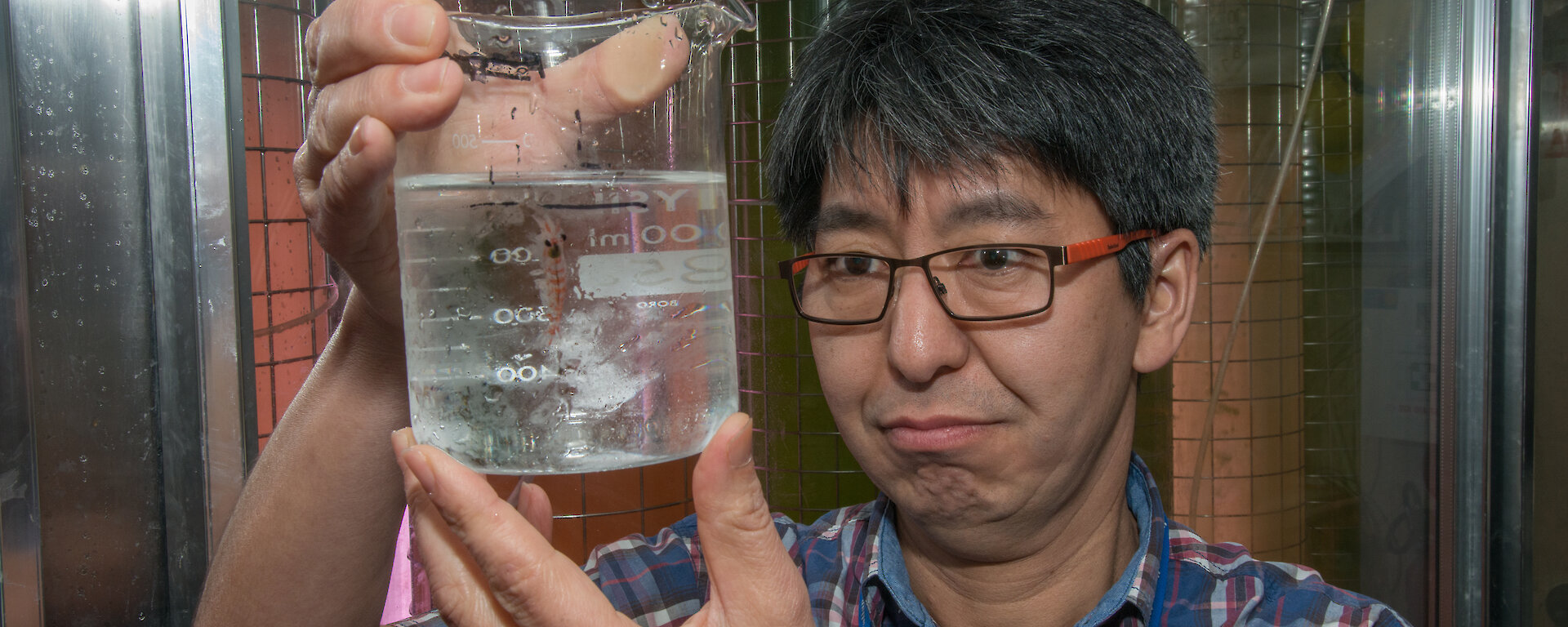 Krill biologist Dr So Kawaguchi with a beaker of krill