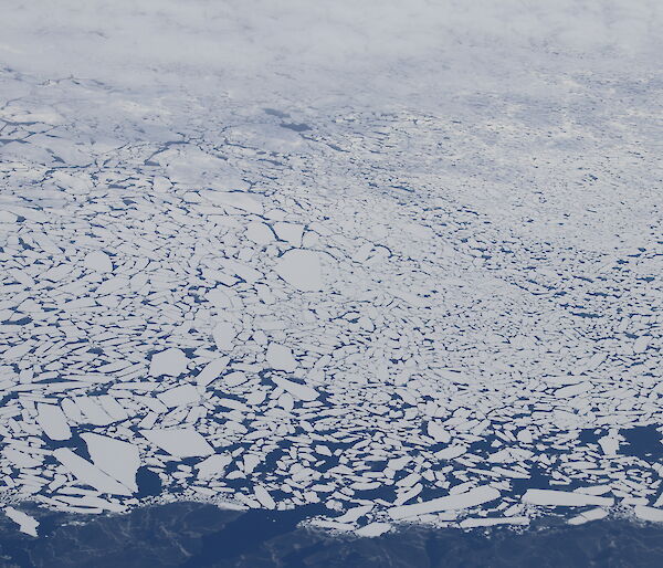 Pack ice in the ocean, seen from the plane, looking like pieces of a jigsaw puzzle.
