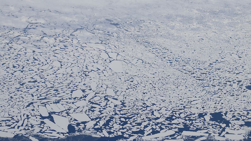 Pack ice in the ocean, seen from the plane, looking like pieces of a jigsaw puzzle.