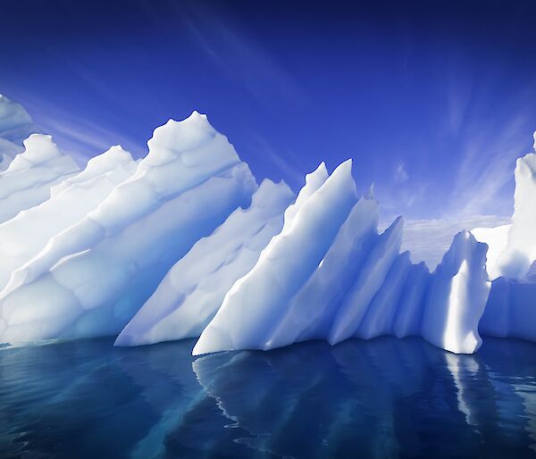 Iceberg