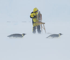Painter and sculptor, John Kelly with an easel on the ice, near Mawson research station.