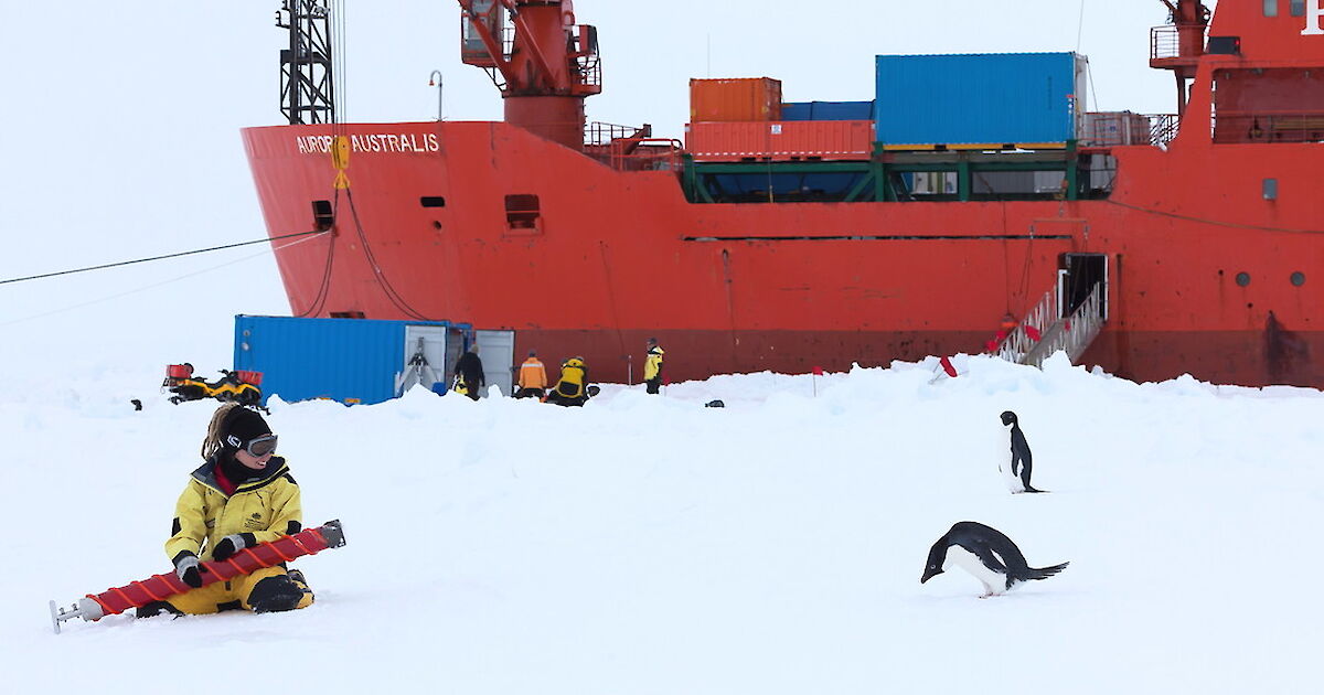 How Many People Live In Antarctica Australian Antarctic