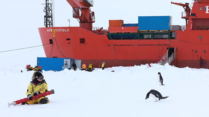 women and penguin on sea ice