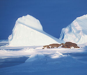 Grounded bergs at Macey Island