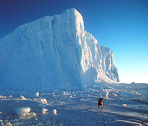 A penguin shuffles past an enormous iceberg