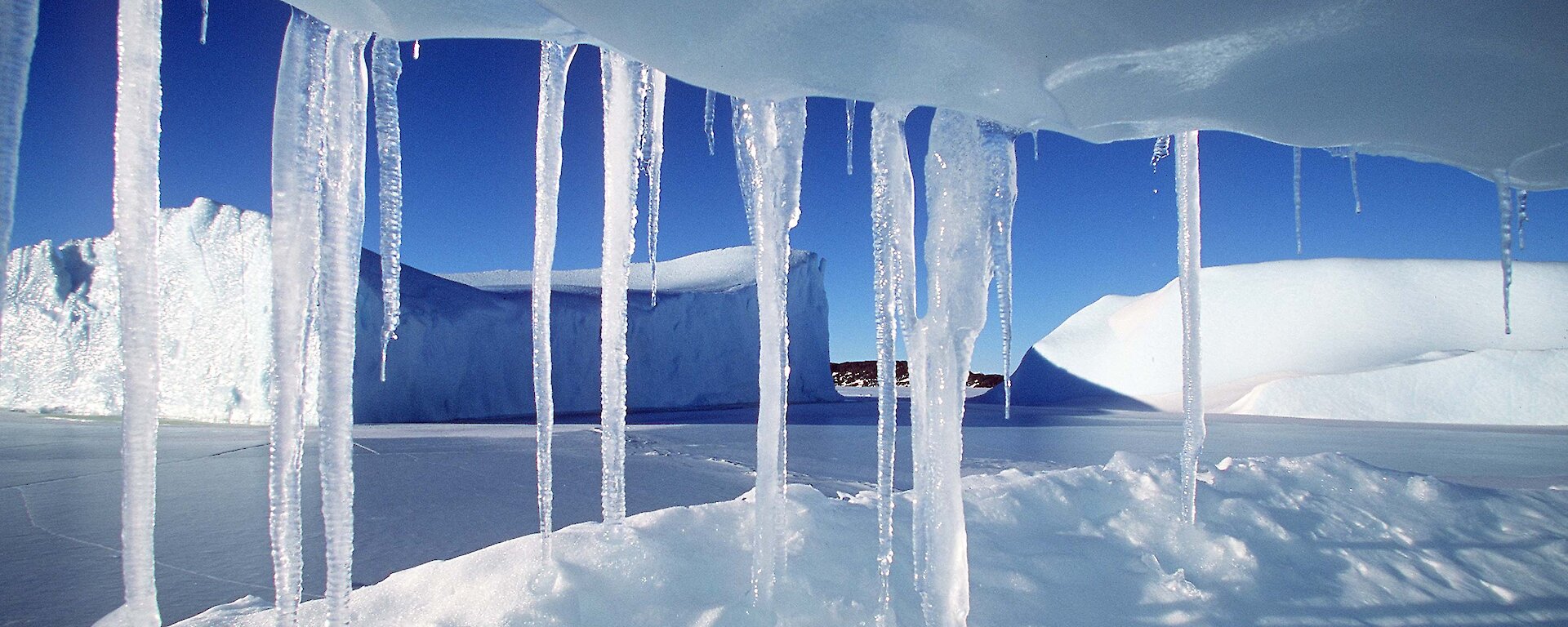 Ice crystals at Colbeck Archipelago, Mac.Robertson Land